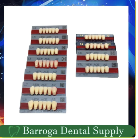 New Ace Pontic Lower Anterior New Ace Pontic Lower Anterior